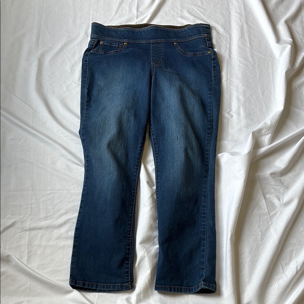 Kim Rogers Petite Elastic Waist Jeans